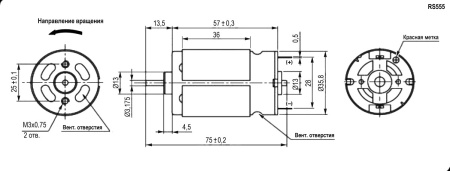 Коллекторный электродвигатель постоянного тока RUICHI RS-555PH-2670, 12 В, 6.69 Вт