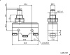 Микропереключатель RUICHI LXW5-11M, ON-(ON) 3P, 15 A, 250 В