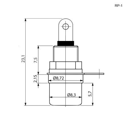 RCA RUICHI RP-1 red