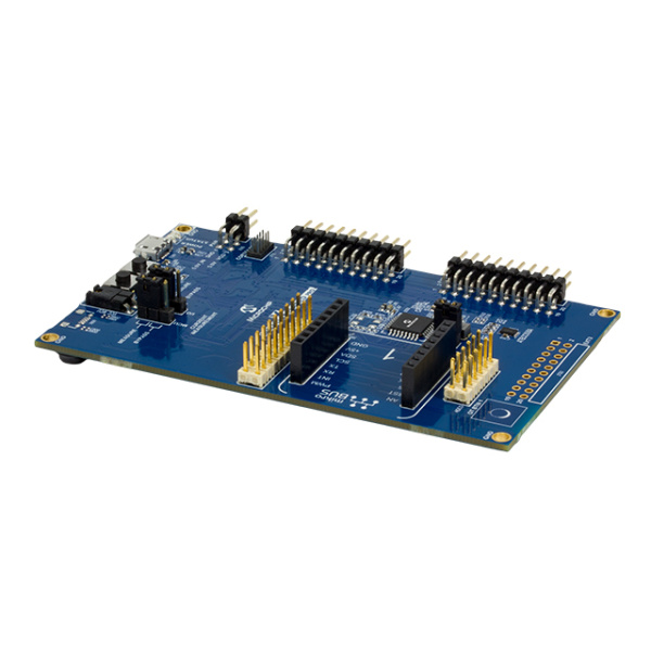 DM320205 (Микроконтроллеры (MCU) и цифровые сигнальные процессоры (DSP) MCRCH)