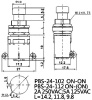 Кнопочный переключатель RUICHI PBS-24-112, ON-(ON), металлический