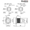 Кнопка антивандальная RUICHI GQ19B-10E/RG/N off-(on), рабочая температура -25…+55 °C, никелированная латунь, двухцветная (RG) подсветка