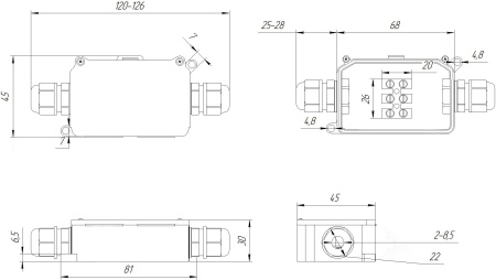 Коробка распределительная RUICHI BOX-2 IP65 2pin CA10 10A/450V, пластик